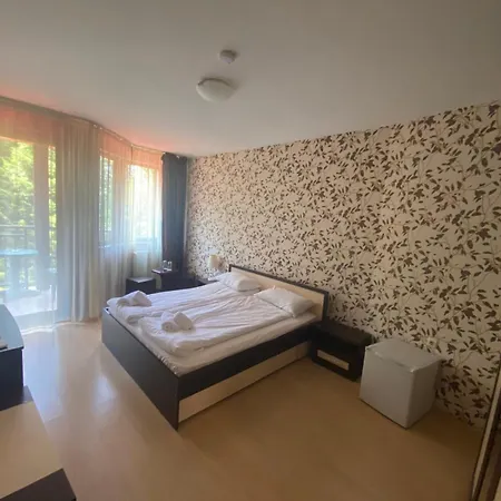 Hotel Iceberg 4*