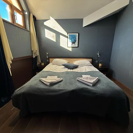 Iceberg 4* Боровец